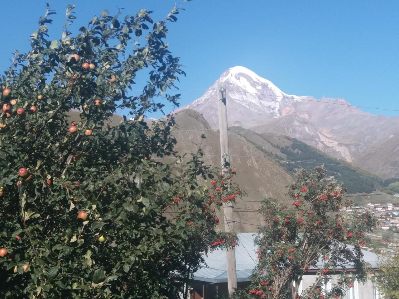 Guest House Sandro Kazbegi Dış mekan fotoğraf